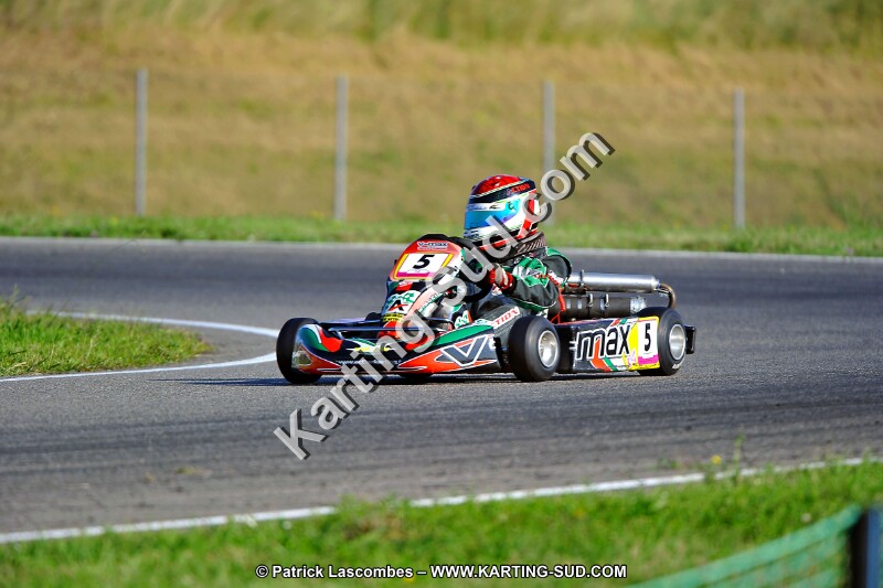 DSC_ (917).jpg